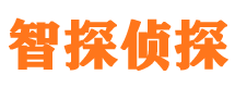 任城捉小三公司